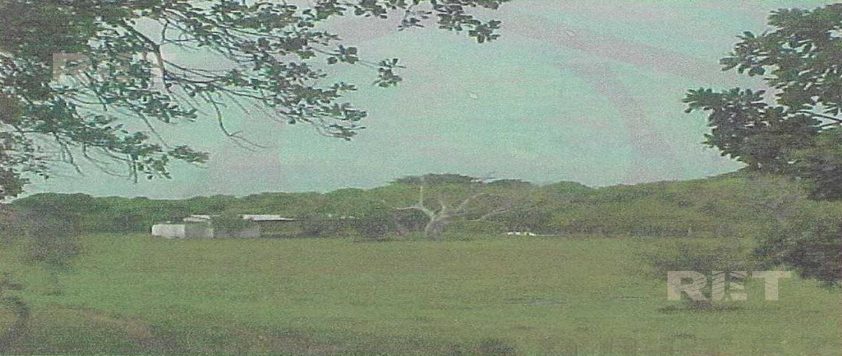 Foto de terreno habitacional en venta en  , cabo rojo (novillos) [ganadera], tampico alto, veracruz de ignacio de la llave, 30170883 No. 05